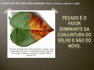 O DESTINO DE TODO SER HUMANO: Viver a morte e morrer a vida!




                                                                      PECADO É O
                                                                        FATOR
                                                                     DOMINANTE DA
                                                                    CONJUNTURA DO
                                                                    VELHO E NÃO DO
      “Eu porei inimizade entre você (serpente) e a mulher, entre
                                                                        NOVO.
       a descendência de você e os descendentes dela. Estes vão
          lhe esmagar a cabeça, e você ferirá o calcanhar deles”
                             Gênesis 3.15.
 