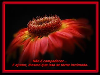 Não é compadecer...  É ajudar, mesmo que isso se torne incómodo. 