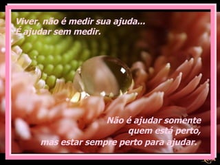 Viver, não é medir sua ajuda...  É ajudar sem medir.  Não é ajudar somente  quem está perto,  mas estar sempre perto para ajudar.   