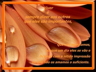 Viver é  sempre dizer aos outros  que eles são importantes, Que nós os amamos, porque um dia eles se vão e ficamos com a nítida impressão de que não os amamos o suficiente.  