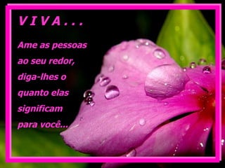 Ame as pessoas  ao seu redor,  diga-lhes o  quanto elas  significam  para você... V I V A . . . 