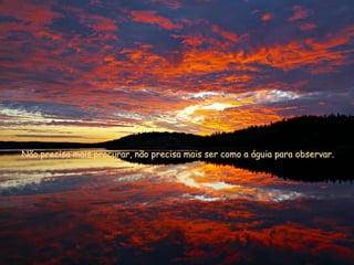 Não precisa mais procurar, não precisa mais ser como a águia para observar.   