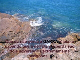 Que eu não perca a   GARRA , mesmo sabendo que a derrota e a perda são dois adversários extremamente perigosos... 