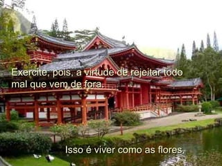 Exercite, pois, a virtude de rejeitar todo mal que vem de fora.   Isso é viver como as flores. 