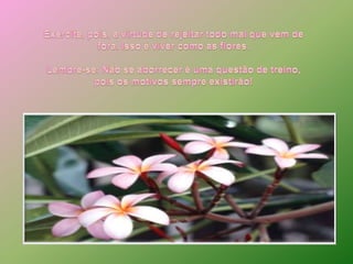 Exercite, pois, a virtude de rejeitar todo mal que vem de fora. Isso é viver como as flores. Lembre-se: Não se aborrecer é uma questão de treino, pois os motivos sempre existirão! 