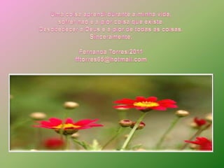 Uma coisaaprendidurante a minhavida, sofrernao e a piorcoisaqueexiste.Desobedecer a Deus e a pior de todas as coisas.Sinceramente,Fernanda Torres/2011fftorres65@hotmail.com