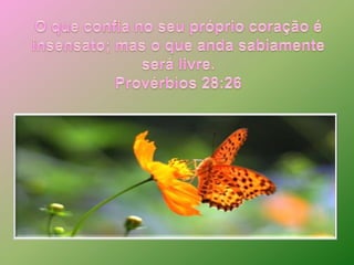 O que confia no seu próprio coração é insensato; mas o que anda sabiamente será livre. Provérbios 28:26