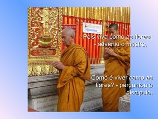 - Pois viva como as flores!  - advertiu o mestre. - Como é viver como as flores? - perguntou o discípulo. 
