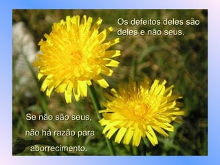 Os defeitos deles são deles e não seus.  Se não são seus, não há razão para aborrecimento. 