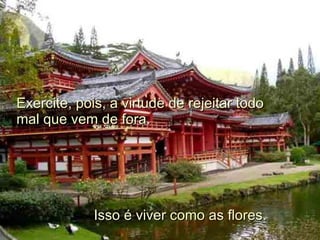 Exercite, pois, a virtude de rejeitar todo mal que vem de fora.   Isso é viver como as flores. 