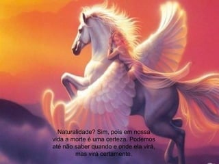 Naturalidade? Sim, pois em nossa
vida a morte é uma certeza. Podemos
até não saber quando e onde ela virá,
mas virá certamente.
 