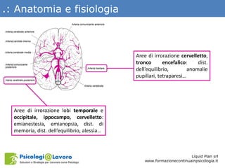 .: Anatomia e fisiologia
Liquid Plan srl
www.formazionecontinuainpsicologia.it
Aree di irrorazione cervelletto,
tronco enc...
