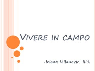 VIVERE IN CAMPO
Jelena Milanovic III1
 