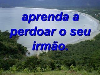 aprenda a perdoar o seu irmão. 