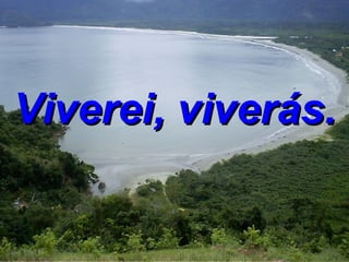 Viverei, viverás. 