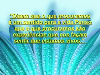 “ Dizem que o que procuramos é um sentido para a vida.Penso que o que procuramos são experiências que nos façam sentir que estamos vivos.”  