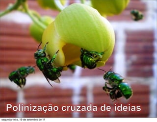 segunda-feira, 19 de setembro de 11
 