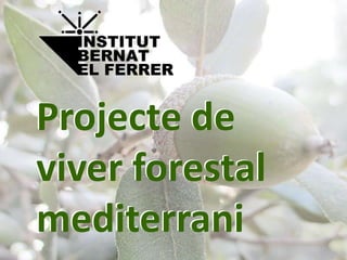 Projecte de
viver forestal
mediterrani
Projecte de
viver forestal
mediterrani
 