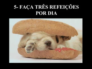 5- FAÇA TRÊS REFEIÇÕES
        POR DIA
 