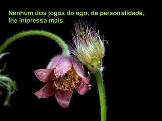 Nenhum dos jogos do ego, da personalidade, lhe interessa mais . 