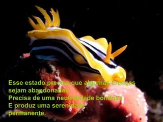 Esse estado precisa que algumas crenças  sejam abandonadas. Precisa de uma neutralidade bondosa E produz uma serenidade  permanente. 
