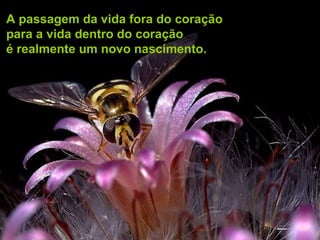 A passagem da vida fora do coração para a vida dentro do coração  é realmente um novo nascimento. 