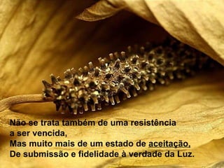 Não se trata também de uma resistência  a ser vencida, Mas muito mais de um estado de  aceitação, De submissão e fidelidade à verdade da Luz. 
