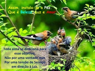 Assim, instala-se a Paz.
Que é Beleza, Luz e Amor.
Toda alma se direciona para
esse objetivo,
Não por uma vontade mas
Por uma tensão de Serviço
em direção à Luz.
 
