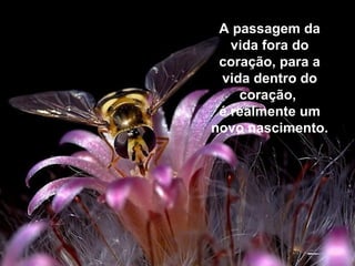 A passagem da
vida fora do
coração, para a
vida dentro do
coração,
é realmente um
novo nascimento.
 