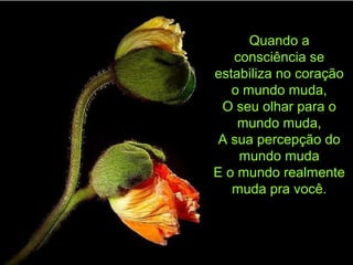 Quando a
consciência se
estabiliza no coração
o mundo muda,
O seu olhar para o
mundo muda,
A sua percepção do
mundo muda
E o mundo realmente
muda pra você.
 