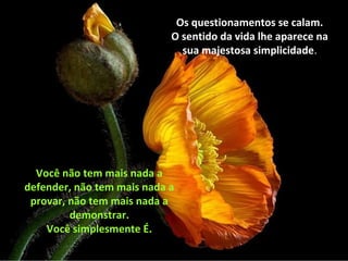 Os questionamentos se calam.
O sentido da vida lhe aparece na
sua majestosa simplicidade.
Você não tem mais nada a
defender, não tem mais nada a
provar, não tem mais nada a
demonstrar.
Você simplesmente É.
 
