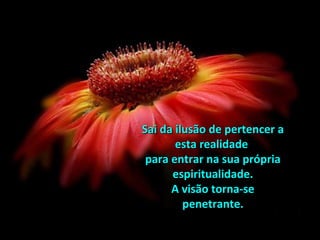 Sai da ilusão de pertencer aSai da ilusão de pertencer a
esta realidadeesta realidade
para entrar na sua própriapara entrar na sua própria
espiritualidade.espiritualidade.
A visão torna-seA visão torna-se
penetrante.penetrante.
 