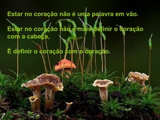 Estar no coração não é uma palavra em vão.
Estar no coração não é mais definir o coração
com a cabeça,
É definir o coração com o coração.
 
