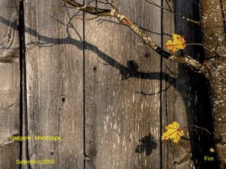 Fim
Imagens: Mondopps
Setembro/2009
 