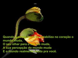 Quando a consciência se estabiliza no coração o
mundo muda,
O seu olhar para o mundo muda,
A sua percepção do mundo muda
E o mundo realmente muda pra você.
 