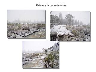 Esta era la parte de atr às