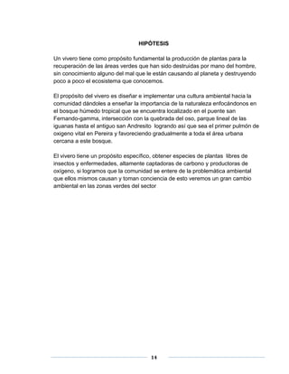 HIPÓTESIS 
Un vivero tiene como propósito fundamental la producción de plantas para la 
recuperación de las áreas verdes que han sido destruidas por mano del hombre, 
sin conocimiento alguno del mal que le están causando al planeta y destruyendo 
poco a poco el ecosistema que conocemos. 
El propósito del vivero es diseñar e implementar una cultura ambiental hacia la 
comunidad dándoles a enseñar la importancia de la naturaleza enfocándonos en 
el bosque húmedo tropical que se encuentra localizado en el puente san 
Fernando-gamma, intersección con la quebrada del oso, parque lineal de las 
iguanas hasta el antiguo san Andresito logrando así que sea el primer pulmón de 
oxigeno vital en Pereira y favoreciendo gradualmente a toda el área urbana 
cercana a este bosque. 
El vivero tiene un propósito específico, obtener especies de plantas libres de 
insectos y enfermedades, altamente captadoras de carbono y productoras de 
oxígeno, si logramos que la comunidad se entere de la problemática ambiental 
que ellos mismos causan y toman conciencia de esto veremos un gran cambio 
ambiental en las zonas verdes del sector 
14 
 