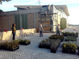 Creació d'un viver al CPC pinet