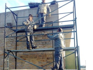 Creació d'un viver al CPC pinet