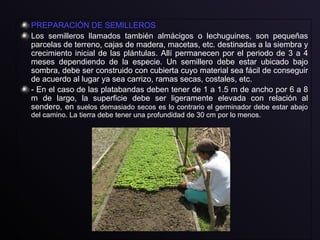 PREPARACIÓN DE SEMILLEROS
Los semilleros llamados también almácigos o lechuguines, son pequeñas
parcelas de terreno, cajas de madera, macetas, etc. destinadas a la siembra y
crecimiento inicial de las plántulas. Allí permanecen por el periodo de 3 a 4
meses dependiendo de la especie. Un semillero debe estar ubicado bajo
sombra, debe ser construido con cubierta cuyo material sea fácil de conseguir
de acuerdo al lugar ya sea carrizo, ramas secas, costales, etc.
- En el caso de las platabandas deben tener de 1 a 1.5 m de ancho por 6 a 8
m de largo, la superficie debe ser ligeramente elevada con relación al
sendero, en suelos demasiado secos es lo contrario el germinador debe estar abajo
del camino. La tierra debe tener una profundidad de 30 cm por lo menos.
 