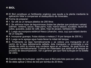 BIOL
El Biol constituye un fertilizante orgánico que ayuda a la planta mediante la
aplicación foliar a compensar el desequilibrio de minerales.
Forma de preparar:
1. Se utili za un tanque plástico de 200 litros
2. Se adiciona hojas de leguminosas (todas las plantas que producen vainas)
solimán, verbena, saúco, mata perro, ruda, marco tabaco, eucalipto, laurel de
judea, guayaba, pulpa de café, ajíes, hoja de jacapo, barbasco etc.
3. Luego se incorpora estiércol fresco (chancho, vaca, cuy) que estará dentro
de un saquillo.
4. Incorporar guarapo, frutas dulces o melaza (1 lit por tanque de 200 lit.).
5. Luego se le agrega agua hasta llenar la mitad del tanque.
6. Finalmente se tapa herméticamente y se coloca una manguerita en el
centro de la tapa debidamente sellada, esta manguera va conectada a una
botella de vidrio la misma que contiene agua en su interior, de igual forma se
la asegura herméticamente. Cuando los materiales que están en el tanque en
proceso de descomposición, van a generar gas que hará burbujas en la botella
de vidrio.
Cuando deje de burbujear, significa que el Biol esta listo para ser utilizado.
Se debe aplicar 2 litros de biol por bomba de 20 litros.
 
