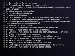 19. Sembrar la semilla muy profunda.
20. Sembrar la semilla con una densidad muy alta .
21. Utilizar compost insuficientemente descompuesto para el llenado de bolsas
u otros envases.
22. Utilizar sustratos inadecuados.
23. Uso de bolsas inapropiadas.
24. Mal llenado de bolsas.
25. Dejar sobrecrecer las plántulas en el germinador antes de su transplante .
26. Causar daños físicos a la plántula al momento del transplante.
27. Tratar las plántulas expuestas al sol y al aire sin ninguna protección hasta
los sitios donde se encuentran las bolsas.
28. Introducir las raíces torcidas.
29. No utilizar sombra inmediatamente después del transplante.
30. Asignar el transplante a personas sin experiencia.
31. Demorar el transplante a las bolsas (raíz desnuda) producidos en viveros.
32. Aplicar nitrógeno indiscriminadamente .
33. Planificar el riego con agua potable (alto contenido de cloro).
34. Descuidar el riego o usar gota gruesa en la etapa de germinación.
35. Exceder la cantidad de agua para riego.
36. Exagerar la dosis o concentración de los pesticidas.
37. En la propagación vegetativa seleccionar los árboles inadecuados.
38. Demorar el transplante y la siembra de las estacas.
 