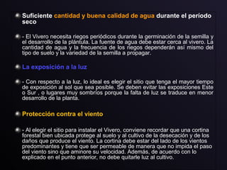 Suficiente cantidad y buena calidad de agua durante el período
seco
- El Vivero necesita riegos periódicos durante la germinación de la semilla y
el desarrollo de la plántula. La fuente de agua debe estar cerca al vivero. La
cantidad de agua y la frecuencia de los riegos dependerán así mismo del
tipo de suelo y la variedad de la semilla a propagar.
La exposición a la luz
- Con respecto a la luz, lo ideal es elegir el sitio que tenga el mayor tiempo
de exposición al sol que sea posible. Se deben evitar las exposiciones Este
o Sur , o lugares muy sombríos porque la falta de luz se traduce en menor
desarrollo de la planta.
Protección contra el viento
- Al elegir el sitio para instalar el Vivero, conviene recordar que una cortina
forestal bien ubicada protege al suelo y al cultivo de la desecación y de los
daños que produce el viento. La cortina debe estar del lado de los vientos
predominantes y tiene que ser permeable de manera que no impida el paso
del viento sino que aminore su velocidad. Además, de acuerdo con lo
explicado en el punto anterior, no debe quitarle luz al cultivo.
 