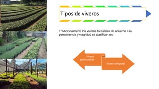 Tipos de viveros
Tradicionalmente los viveros forestales de acuerdo a la
permanencia y magnitud se clasifican en:
Vivero
permanente
Vivero temporal
 
