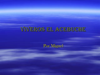 VIVEROS EL ACEBUCHEVIVEROS EL ACEBUCHE
Por MiguelPor Miguel
 