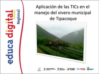 Aplicación de las TICs en el
manejo del vivero municipal
       de Tipacoque
 