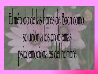 El método de las flores de Bach como solución a los problemas psicoemocionales del hombre 