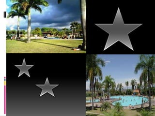 Viviana gallego ruiz