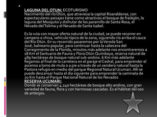 LAGUNA DEL OTUN: ECOTURISMONacimiento del río Otún, que atraviesa la capital Risaraldense, con espectaculares paisajes tiene como atractivos el bosque de frailejón, la laguna del Mosquito y disfrutar de los paramillo de Santa Rosa, el Nevado del Tolima y el Nevado de Santa Isabel.Es la ruta con mayor oferta natural de la ciudad, se puede recorrer en campero o chiva, vehículo típico de la zona, siguiendo río arriba el cauce del Río Otún. En su recorrido pasaremos por la Vereda San José, balneario popular, para continuar hasta la cabecera del Corregimiento de la Florida, minutos más adelante nos encontraremos a 18 Km el Santuario de Fauna y Flora Otún Quimbaya, reserva natural de 489 hectáreas de bosque natural sub-andino. 6 Km más adelante llegamos al final de la carretera en el paraje el Cedral, para emprender el ascenso a lomo de mula o a pie a través de un sendero natural hasta la Pastora refugio en medio del parque Regional Natural Ucumari. Allí se puede descansar hasta el día siguiente para emprender la caminata de 20 Km hasta el Parque Nacional Natural de los Nevados RESERVA UCUMARI:Donde se conservan 4.240 hectáreas de bosque alto andino, con gran variedad de fauna, flora y con hermosas cascadas. Es el hábitat del oso de anteojos.