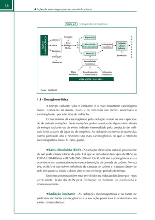 58
     Ações de enfermagem para o controle do câncer




                            Figura 2.1 - As etapas da carcinogênese.




        Fonte: INCA/MS.



     1.1 - Oncogênese física

            A energia radiante, solar e ionizante, é o mais importante carcinógeno
     físico. Cânceres de mama, ossos e do intestino são menos suscetíveis à
     carcinogênese por este tipo de radiação.
             O mecanismo da carcinogênese pela radiação reside na sua capacida-
     de de induzir mutações. Essas mutações podem resultar de algum efeito direto
     da energia radiante ou de efeito indireto intermediado pela produção de radi-
     cais livres a partir da água ou do oxigênio. As radiações na forma de partículas
     (como partículas alfa e nêutrons) são mais carcinogênicas do que a retenção
     eletromagnética (raios X, raios gama).


               Raios ultravioleta (RUV) - A radiação ultravioleta natural, proveniente
     do sol, pode causar câncer de pele. Há que se considerar dois tipos de RUV: os
     RUV-A (320-400nm) e RUV-B (280-320nm). Os RUV-B são carcinogênicos e sua
     ocorrência tem aumentado muito com a destruição da camada de ozônio. Por sua
     vez, os RUV-A não sofrem influência da camada de ozônio e causam câncer de
     pele em quem se expõe a doses altas e por um longo período de tempo.
            Dois mecanismos podem estar envolvidos na indução do câncer por raios
     ultravioleta: lesão do ADN pela formação de dímeros de pirimidina e
     imunossupressão.


               Radiação ionizante - As radiações eletromagnéticas e na forma de
     partículas são todas carcinogênicas e a sua ação perniciosa é evidenciada em
     várias circunstâncias:
 